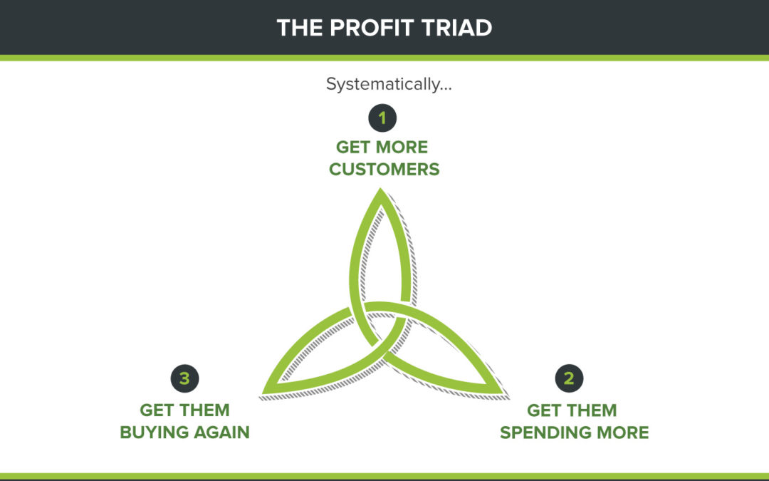 The Profit Triad – The 3 Ways to Grow Any Business