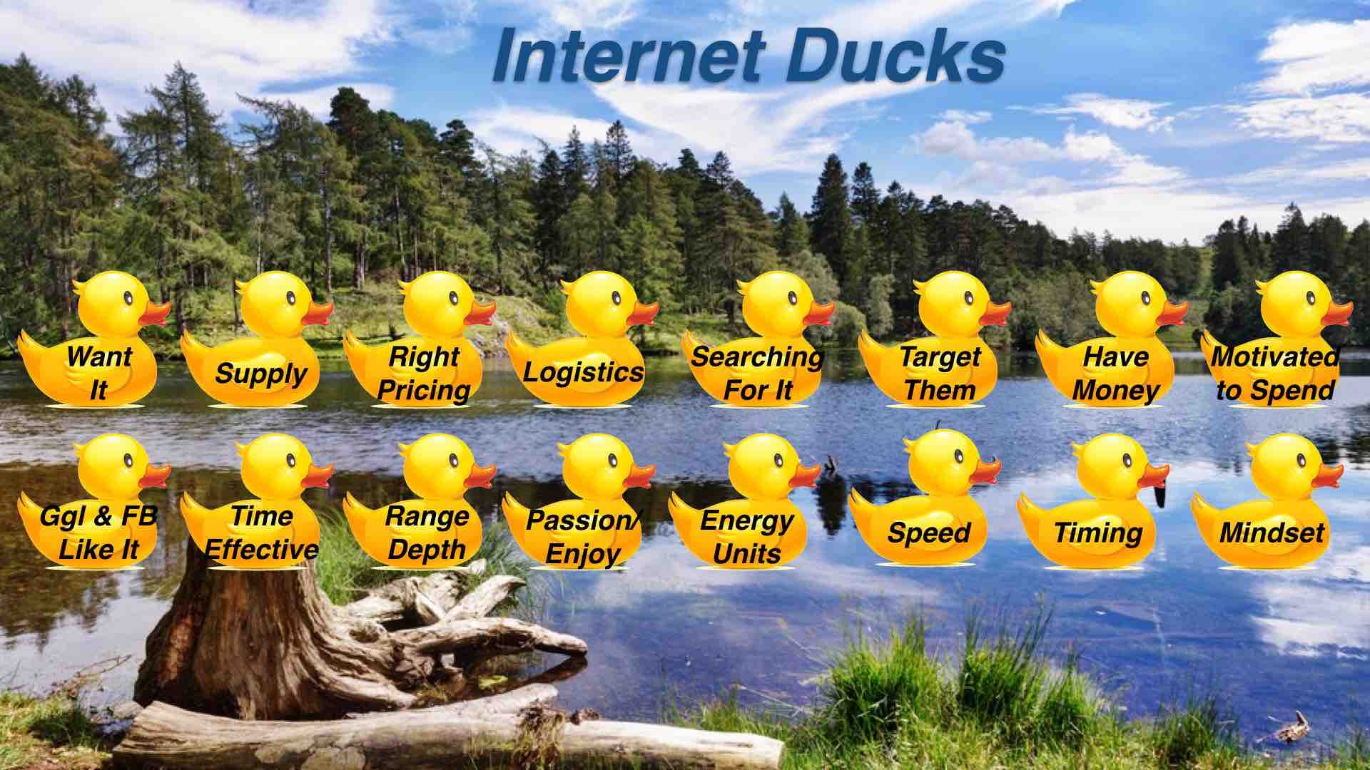 Internet-ducks